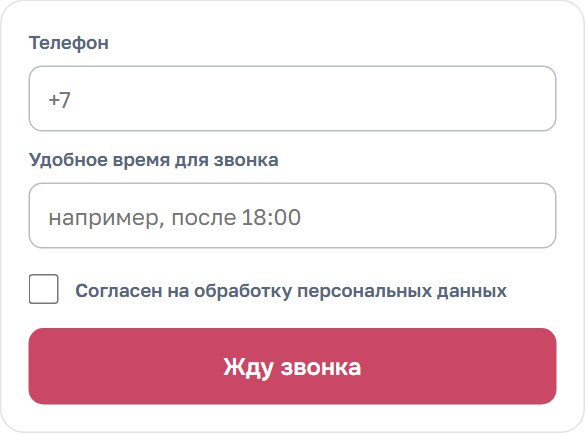 Пример обратного звонка в прототипе: телефон и пожелание по времени звонка